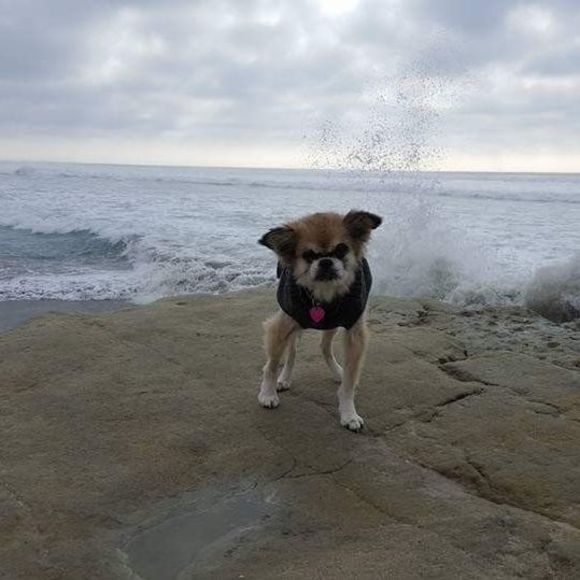 Meet your Posher, Sherifah - Picture 1 of 1